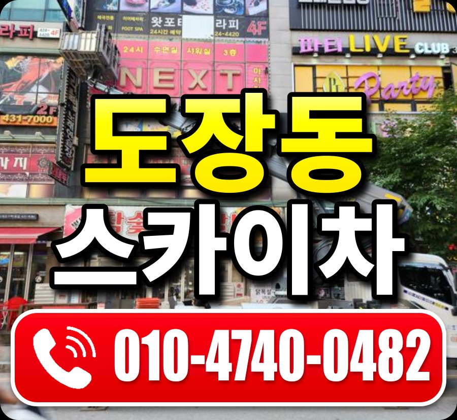 도장동 스카이차 010-4740-0482