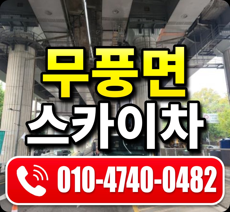 무풍면 스카이차 010-4740-0482