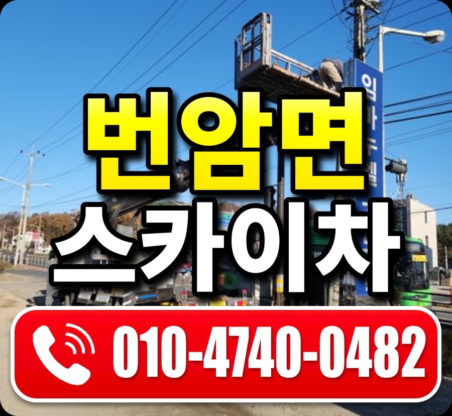 번암면 스카이차 010-4740-0482