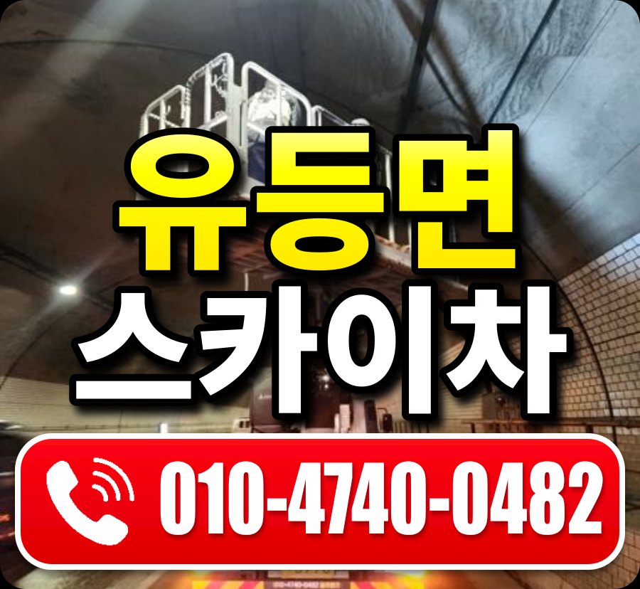유등면 스카이차 010-4740-0482