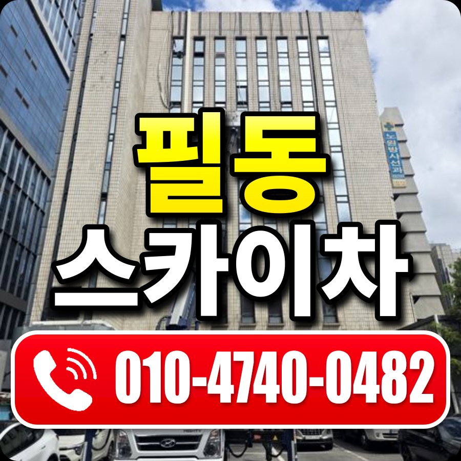 필동 스카이차 010-4740-0482