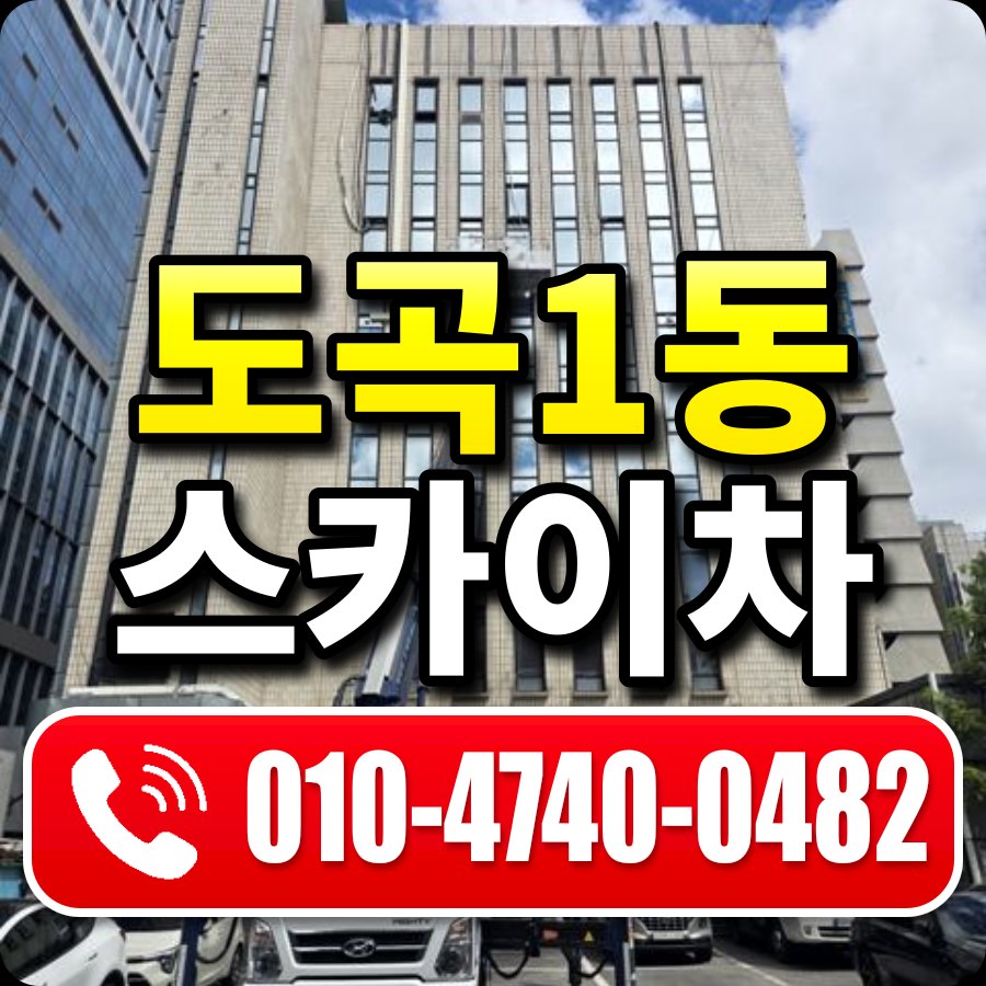 도곡1동 스카이차 010-4740-0482