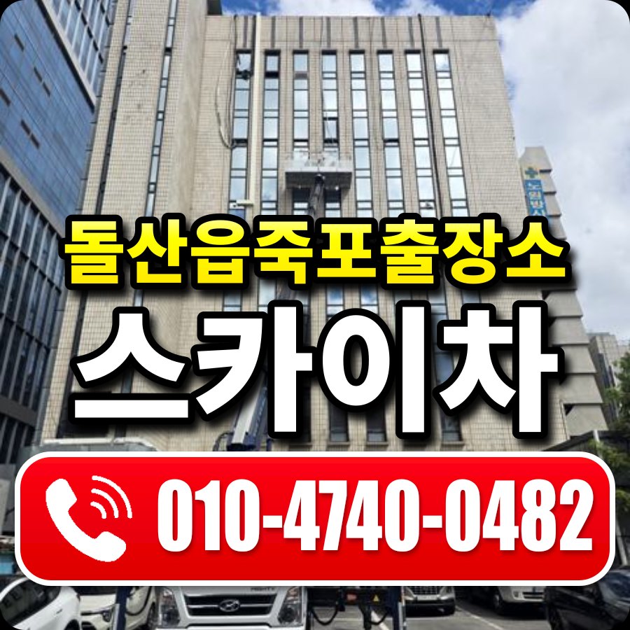 돌산읍죽포출장소 스카이차 010-4740-0482