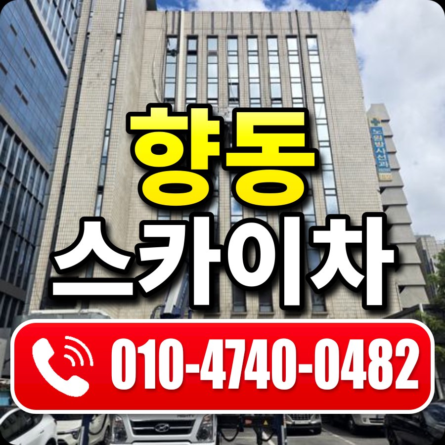 향동 스카이차 010-4740-0482