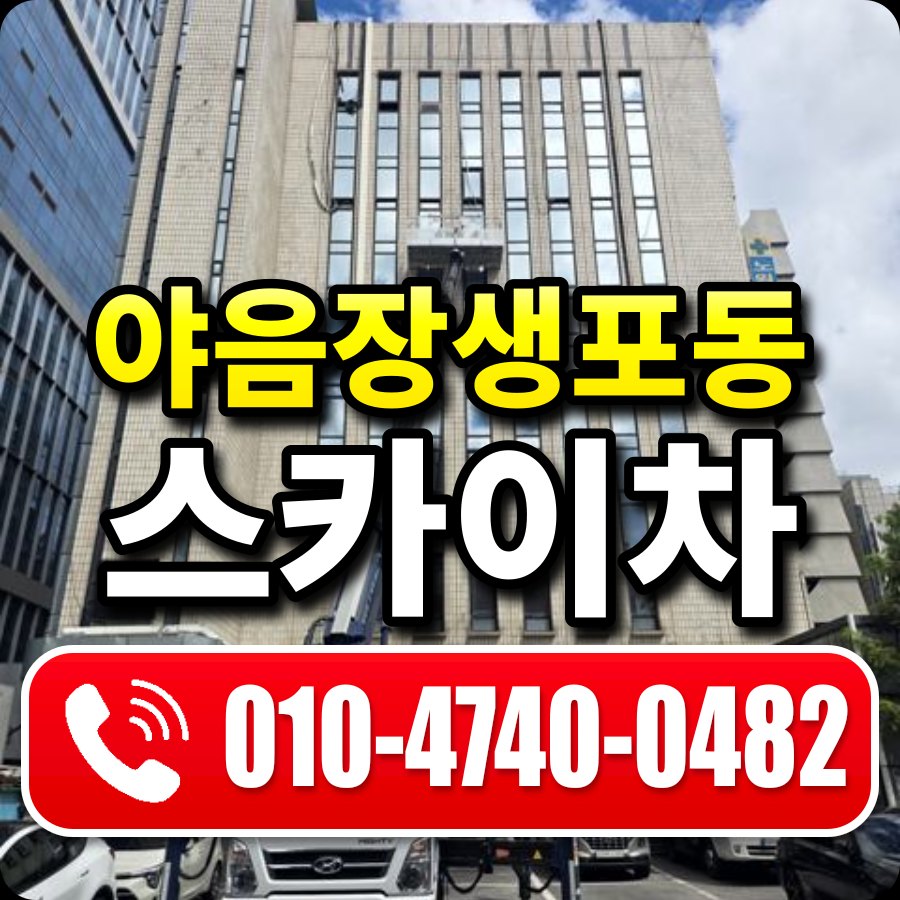 야음장생포동 스카이차 010-4740-0482