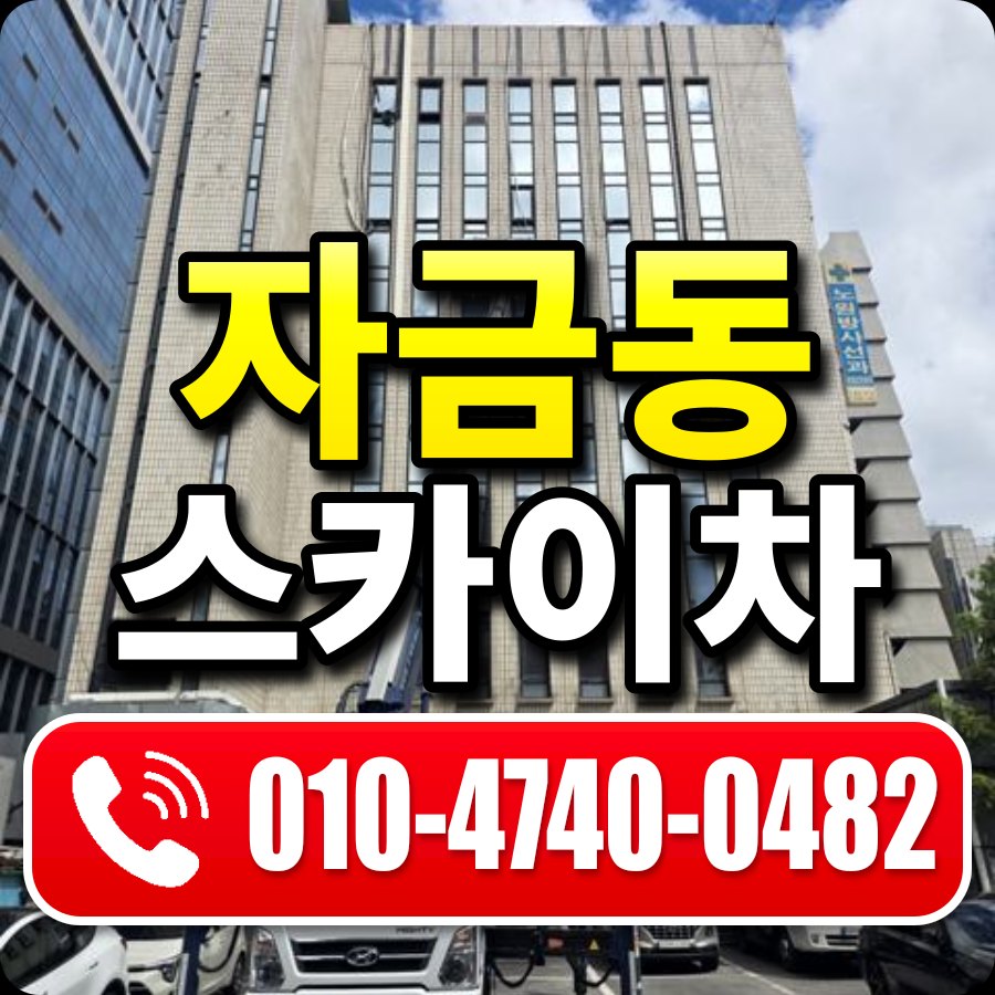자금동 스카이차 010-4740-0482
