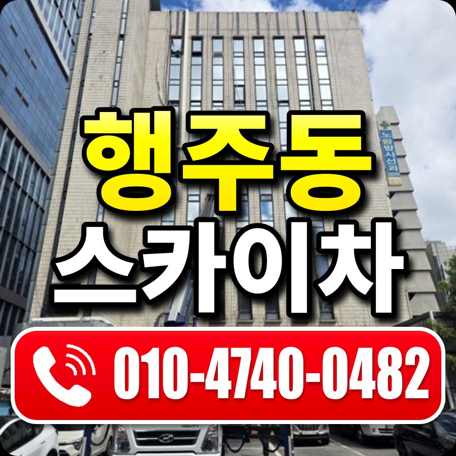 행주동 스카이차 010-4740-0482