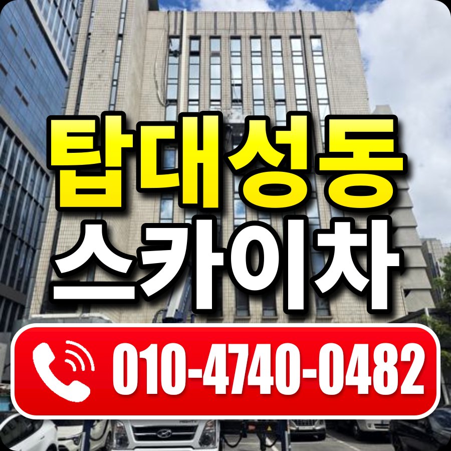 탑대성동 스카이차 010-4740-0482