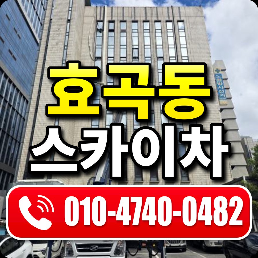 효곡동 스카이차 010-4740-0482
