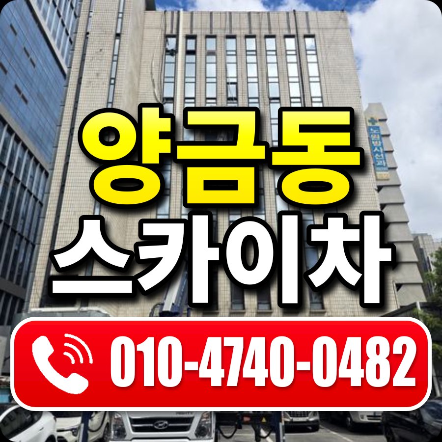 양금동 스카이차 010-4740-0482