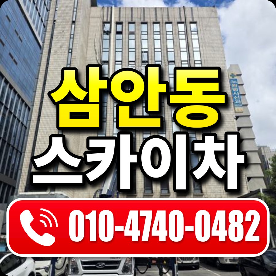 삼안동 스카이차 010-4740-0482