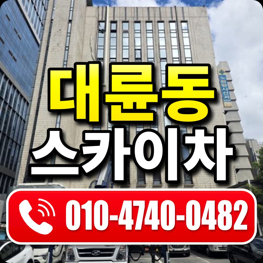 대륜동 스카이차 010-4740-0482