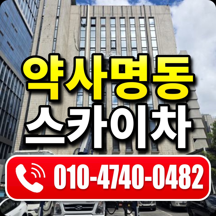 약사명동 스카이차 010-4740-0482